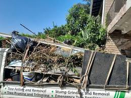 Shed Removal in Dixon Lane Meadow Creek, CA